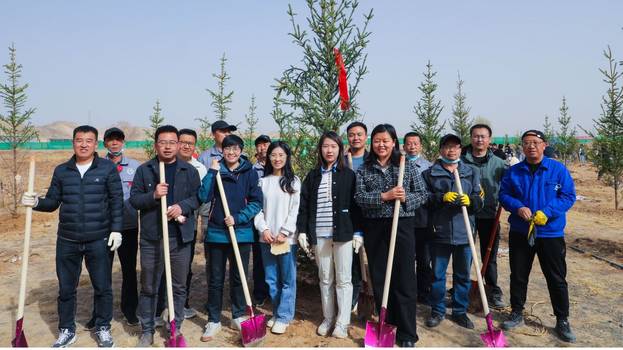 “植”此春光，“绿”动校园，bat365在线中国官网登录入口师生携手共筑“师生林”