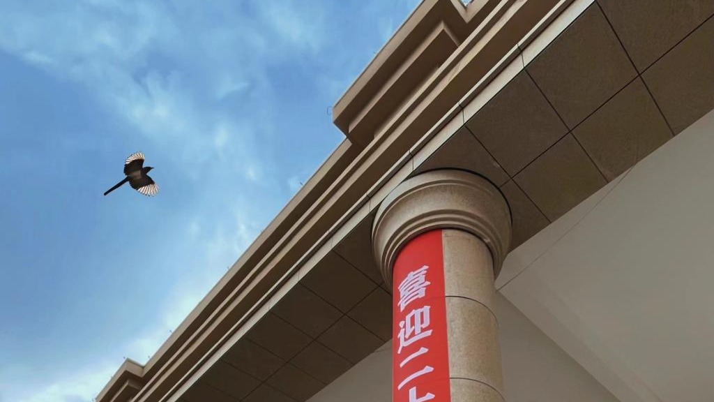 bat365在线中国官网登录入口师生喜迎二十大（组图）