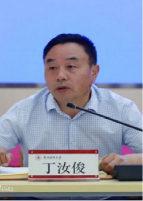 丁汝俊
