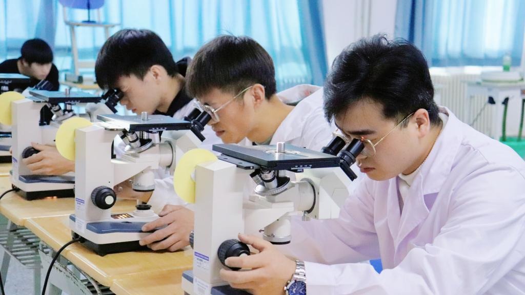徕卡杯”第十一届全国大学生金相技能大赛决赛bat365在线中国官网登录入口分赛场圆满落幕